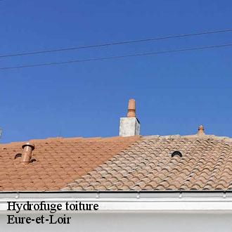 Hydrofuge toiture 28 Eure-et-Loir  Toiture Pro 28