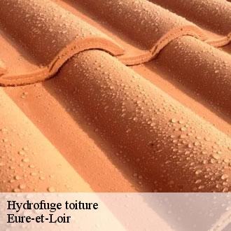 Hydrofuge toiture 28 Eure-et-Loir Toiture Pro 28