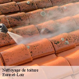 Nettoyage de toiture 28 Eure-et-Loir  Toiture Pro 28