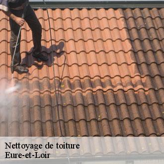Nettoyage de toiture 28 Eure-et-Loir  Toiture Pro 28