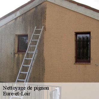 Nettoyage de pignon 28 Eure-et-Loir  Toiture Pro 28