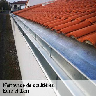 Nettoyage de gouttières 28 Eure-et-Loir  Toiture Pro 28