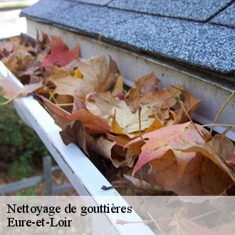 Nettoyage de gouttières 28 Eure-et-Loir  Toiture Pro 28