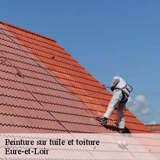 Peinture sur tuile et toiture 28 Eure-et-Loir  Toiture Pro 28