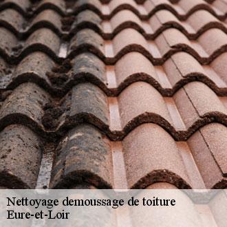Nettoyage demoussage de toiture 28 Eure-et-Loir Toiture Pro 28