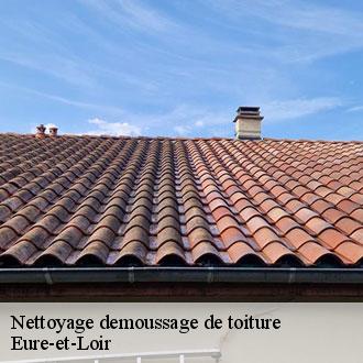 Nettoyage demoussage de toiture 28 Eure-et-Loir Toiture Pro 28