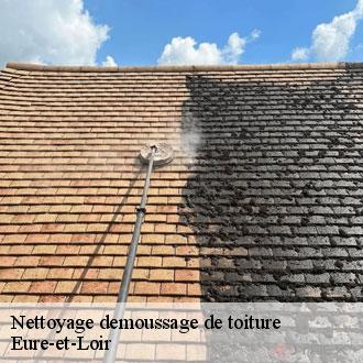 Nettoyage demoussage de toiture 28 Eure-et-Loir  Toiture Pro 28