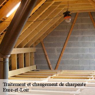 Traitement et changement de charpente 28 Eure-et-Loir  Toiture Pro 28