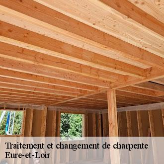 Traitement et changement de charpente 28 Eure-et-Loir  Toiture Pro 28