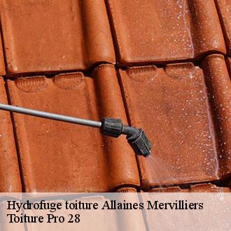 Hydrofuge toiture  allaines-mervilliers-28310 Toiture Pro 28