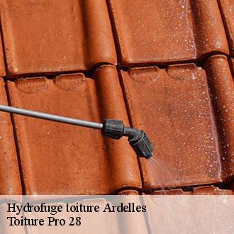 Hydrofuge toiture  ardelles-28170 Toiture Pro 28