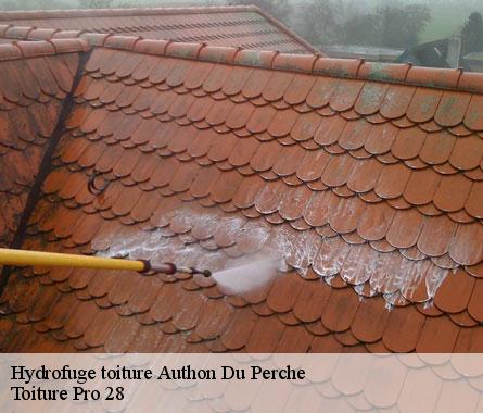 Hydrofuge toiture  authon-du-perche-28330 Toiture Pro 28
