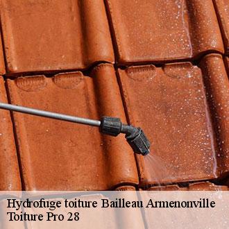 Hydrofuge toiture  bailleau-armenonville-28320 Toiture Pro 28