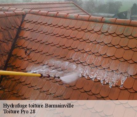 Hydrofuge toiture  barmainville-28310 Toiture Pro 28