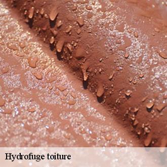 Hydrofuge toiture  la-bazoche-gouet-28330 Toiture Pro 28