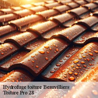 Hydrofuge toiture  beauvilliers-28150 Toiture Pro 28