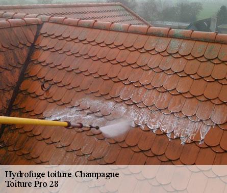 Hydrofuge toiture  champagne-28410 Toiture Pro 28