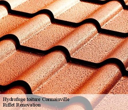 Hydrofuge toiture  cormainville-28140 Riffet Rénovation