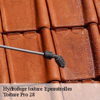 Hydrofuge toiture epeautrolles-28120 Toiture Pro 28