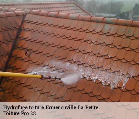 Hydrofuge toiture ermenonville-la-petite-28120 Toiture Pro 28