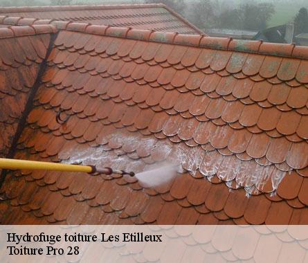 Hydrofuge toiture  les-etilleux-28330 Toiture Pro 28