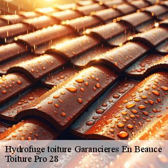 Hydrofuge toiture garancieres-en-beauce-28700 Toiture Pro 28