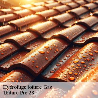 Hydrofuge toiture gas-28320 Toiture Pro 28