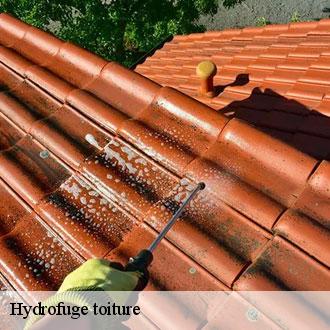 Hydrofuge toiture la-gaudaine-28400 Toiture Pro 28