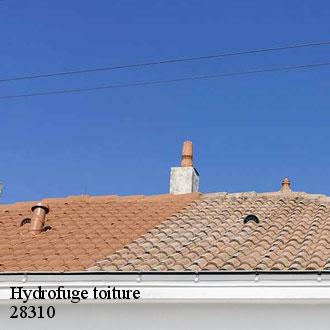 Hydrofuge toiture  guilleville-28310 Toiture Pro 28