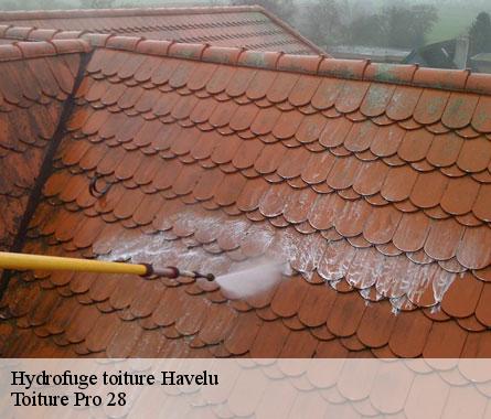 Hydrofuge toiture  havelu-28410 Toiture Pro 28
