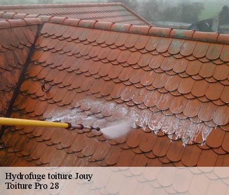Hydrofuge toiture  jouy-28300 Toiture Pro 28