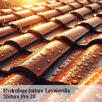 Hydrofuge toiture  levainville-28700 Toiture Pro 28