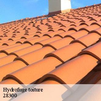 Hydrofuge toiture leves-28300 Toiture Pro 28