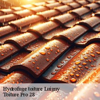 Hydrofuge toiture  luigny-28420 Toiture Pro 28
