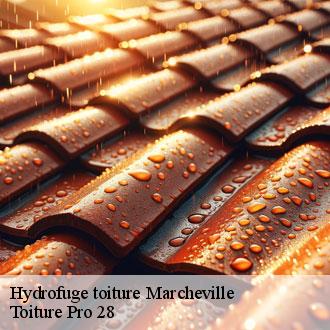 Hydrofuge toiture  marcheville-28120 Toiture Pro 28