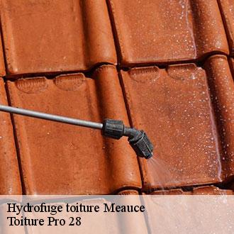 Hydrofuge toiture  meauce-28240 Toiture Pro 28