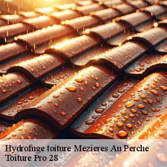 Hydrofuge toiture  mezieres-au-perche-28160 Toiture Pro 28