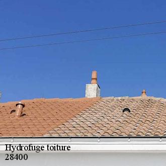 Hydrofuge toiture  nogent-le-rotrou-28400 Toiture Pro 28