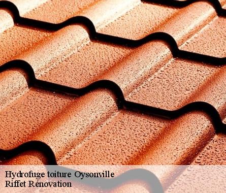 Hydrofuge toiture  oysonville-28700 Riffet Rénovation
