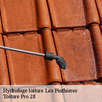 Hydrofuge toiture  les-pinthieres-28210 Toiture Pro 28