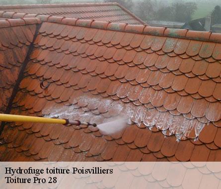 Hydrofuge toiture  poisvilliers-28300 Toiture Pro 28