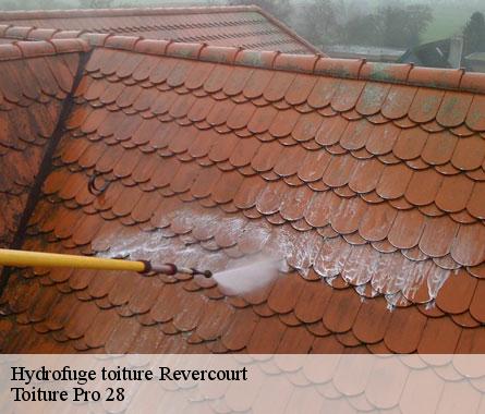 Hydrofuge toiture revercourt-28270 Toiture Pro 28