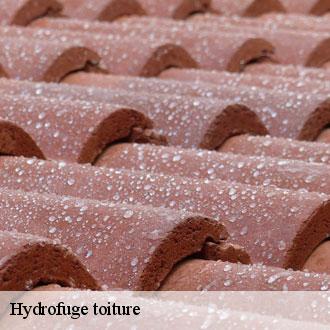 Hydrofuge toiture saint-arnoult-des-bois-28190 Toiture Pro 28