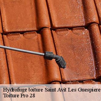 Hydrofuge toiture  saint-avit-les-guespieres-28120 Toiture Pro 28