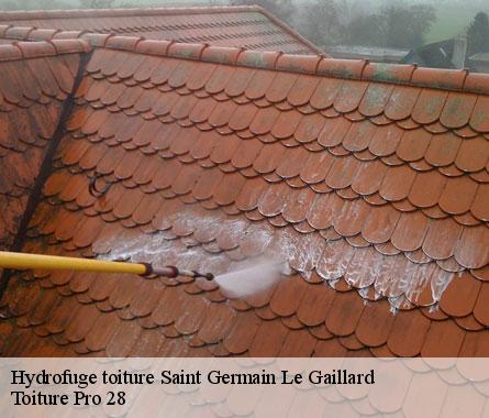 Hydrofuge toiture  saint-germain-le-gaillard-28190 Toiture Pro 28