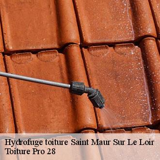 Hydrofuge toiture  saint-maur-sur-le-loir-28800 Toiture Pro 28