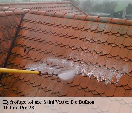 Hydrofuge toiture saint-victor-de-buthon-28240 Toiture Pro 28