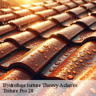 Hydrofuge toiture  theuvy-acheres-28170 Toiture Pro 28