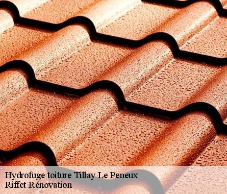Hydrofuge toiture  tillay-le-peneux-28140 Nettoyage et Traitement 28