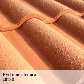 Hydrofuge toiture  villiers-le-morhier-28130 Toiture Pro 28